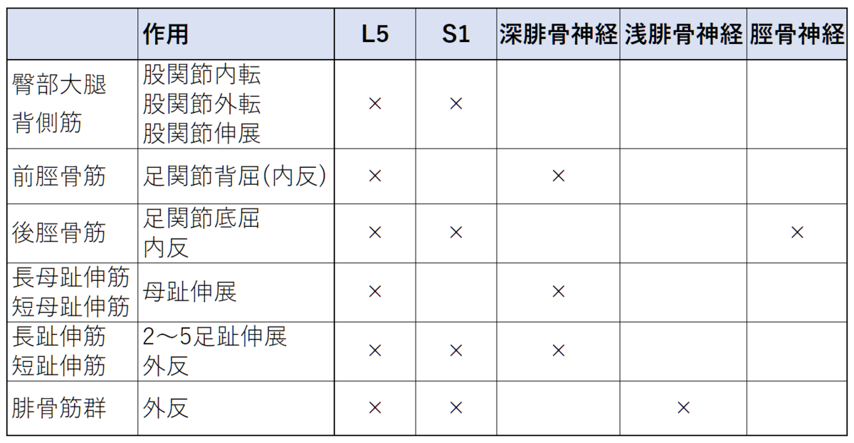 下垂足へのアプローチの仕方について (問診,診察,鑑別疾患)｜神経内科の論文学習